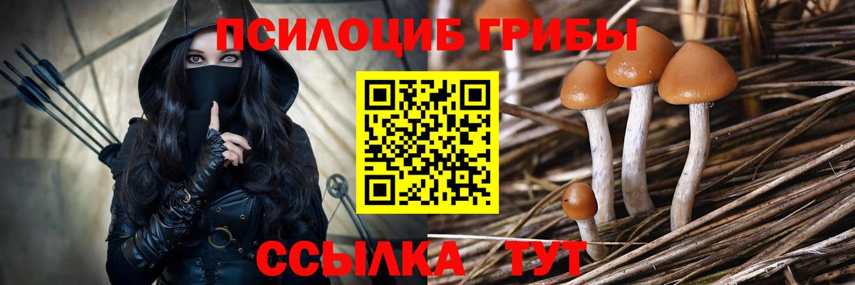 Галлюциногенные грибы MAGIC MUSHROOMS Туапсе