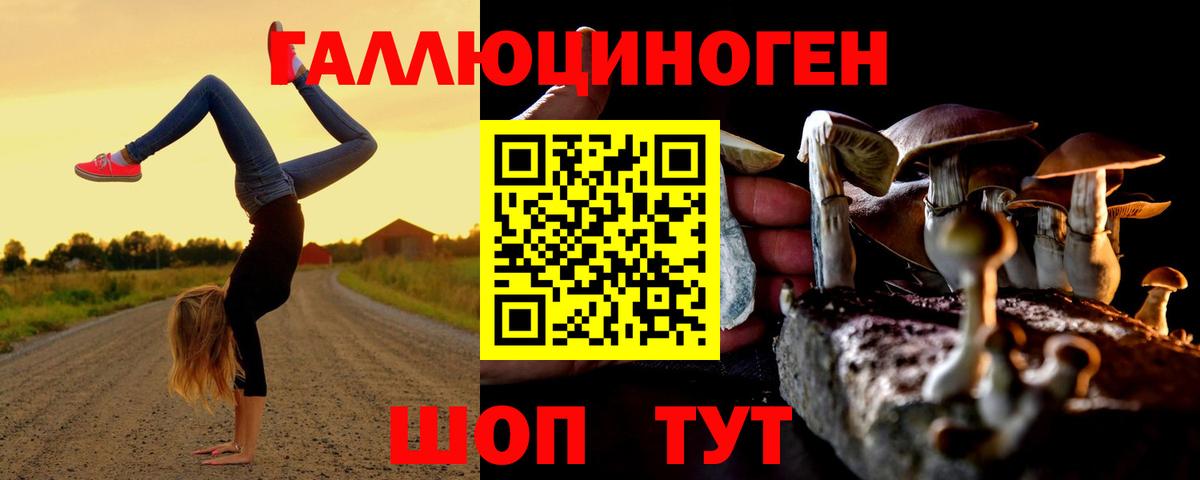 A PVP Туапсе
